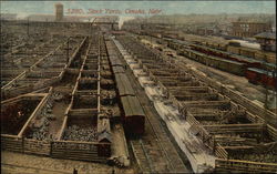 View of Stock Yards Omaha, NE Postcard Postcard