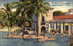 The Venetian Pool Postcard