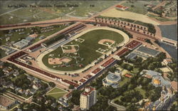 Fair Grounds - Aerial View Tampa, FL Postcard Postcard