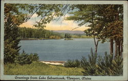 Greetings from Lake Sebasticook Newport, ME Postcard Postcard