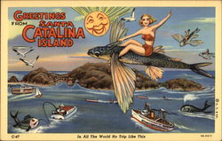 Greetings from Santa Catalina Island California Postcard Postcard