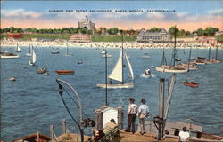 Harbor and Yacht Anchorage Postcard