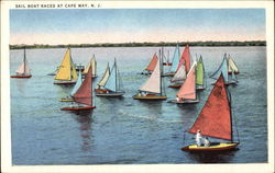 Sail Boat Races Postcard