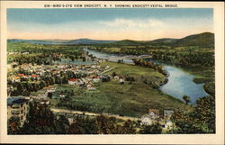 View of Town showing Endicott-Vestal Bridge Postcard