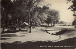 Beautiful View in En-Joie Park Endicott, NY Postcard Postcard