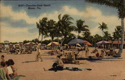 Crandon Park Beach Miami, FL Postcard Postcard