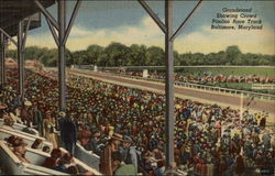 Grandstand Showing Crowd Pimlico Race Track Postcard