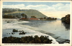 View of Dam and Ice Plant, Chenango River Binghamton, NY Postcard Postcard