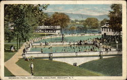 Swimming Pool, and Grounds, Ideal Park Postcard