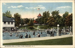 Swimming Pool at Ideal Park Postcard