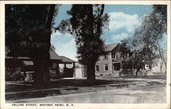 Collins Street Postcard