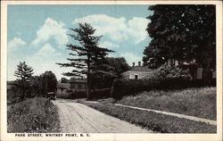 Park Street Whitney Point, NY Postcard Postcard