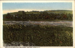 East Hills From Collins Street Postcard