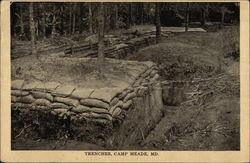 Trenches at Camp Meade Postcard