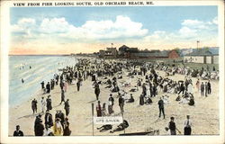 View From Pier Looking South Postcard