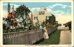 View in Hollyhock Time Nantucket, MA Postcard Postcard