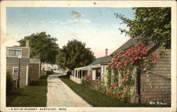 View of Sconset Postcard