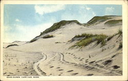 Sand Dunes Postcard