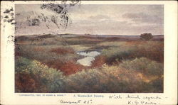 A Nantucket Swamp Massachusetts Postcard Postcard