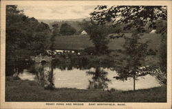 Perry Pond and Bridge Postcard