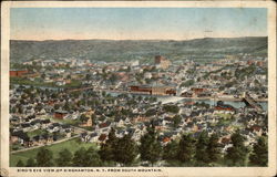 View from South Mountain Binghamton, NY Postcard Postcard