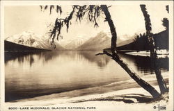 Lake McDonald Postcard