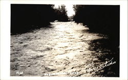 View Down the River Postcard