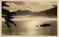 Morning Mist Alaska Postcard Postcard