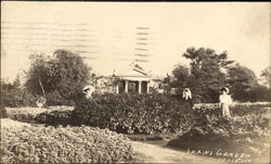 Shaws Garden Postcard