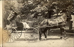 Man Driving Horse Drawn Carriage Horses Postcard Postcard