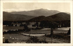 Mount Washington Postcard