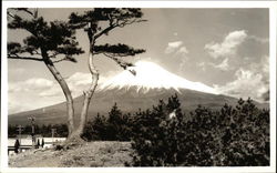 Mount Fuji Japan Postcard Postcard