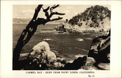 Carmel Bay from Point Lobos Postcard