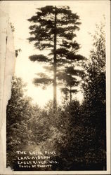 The Lone Pine - Lake Aideen Eagle River, WI Postcard Postcard