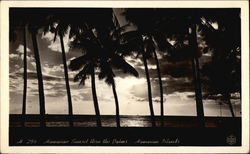 Hawaiian Sunset Thru the Palms Postcard Postcard