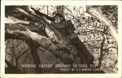 Marine Raider Sniping in Tree Top Marines Postcard Postcard