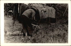 Drying Wild Rice Postcard