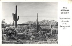 The Arizona Desert - Superstition Mountain in the Background Apache Junction, AZ Postcard Postcard