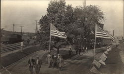 Flags on Display Postcard