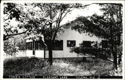 Tonie's Cottage, Pleasant Lake Coloma, WI Postcard Postcard