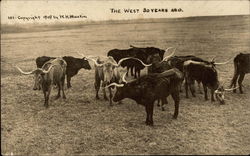 The West 30 Years Ago Postcard