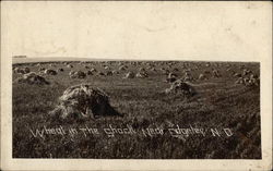 Wheat in the Shock Edgeley, ND Postcard Postcard