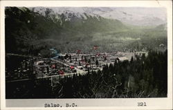 Aerial View of Town Salmo, BC Canada British Columbia Postcard Postcard