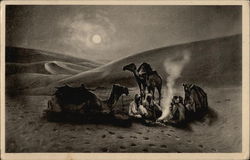 A Moonlight Scenery in the Desert Postcard