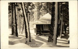 Winter Scene, Jan's Ice House Postcard