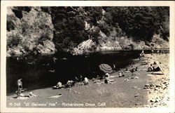 Ol' Swimming Hole, Richardsons Grove Garberville, CA Postcard Postcard