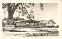 The Nut Tree Vacaville, CA Postcard Postcard