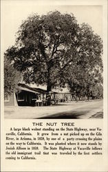 The Nut Tree Vacaville, CA Postcard Postcard