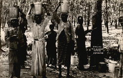 Coolies in a Rubber Estate Penang, Malaysia Southeast Asia Postcard Postcard