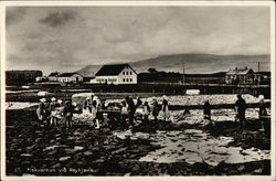 Fiskverkun via Reykjavik Postcard